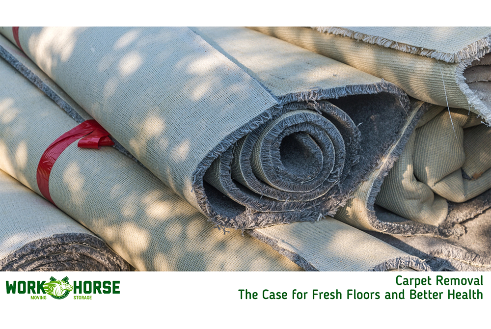 Carpet and Junk Removal