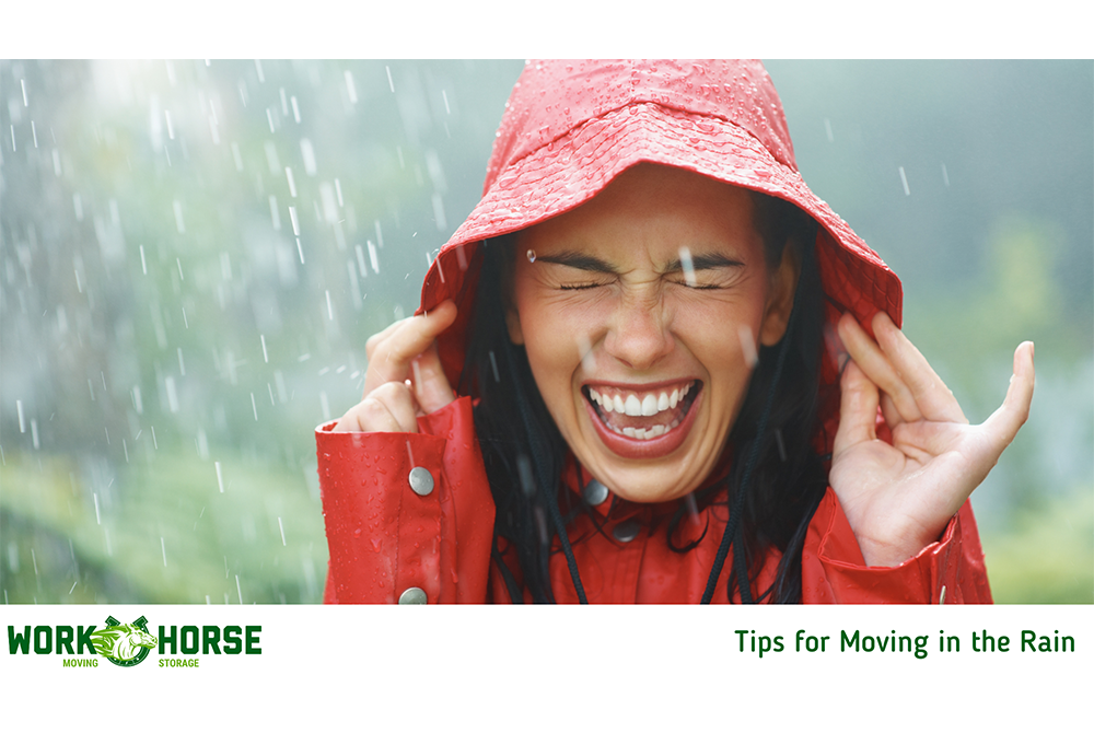 Moving in the Rain