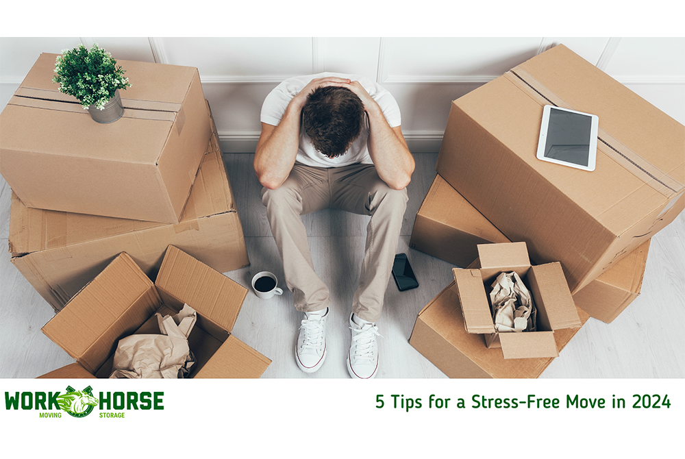 Stress Free Move
